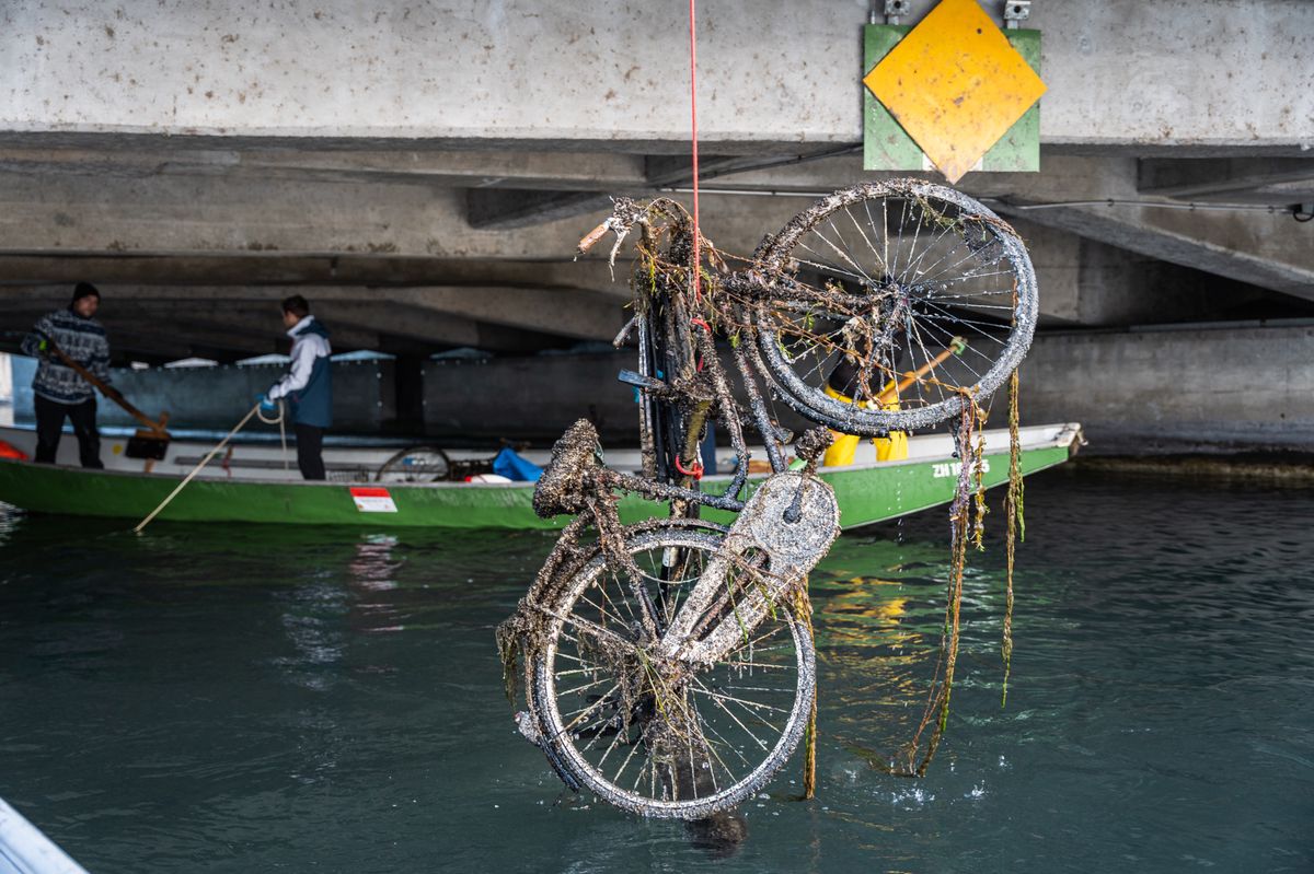 Dieses Fahrrad muss wohl schon länger unter Wasser gelegen haben. Es ist mit Algen und Muscheln bedeckt.