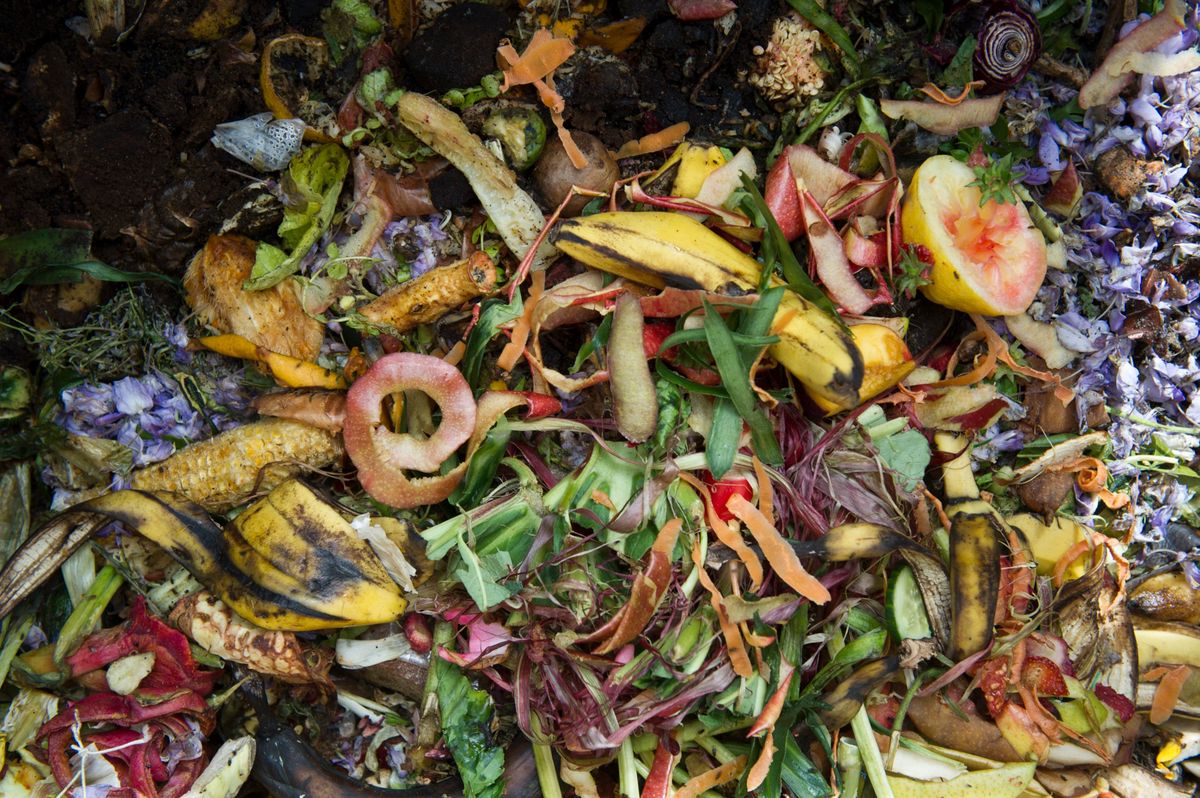 Inspektorinnen und Inspektoren der Stadt beurteilen dabei vor Ort, ob der Kompost den Anforderungen von Entsorgung + Recycling Zürich ERZ entspricht. 