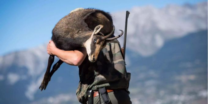 Graubünden - Deshalb erledigen Bündner Jäger ihren Job nicht richtig