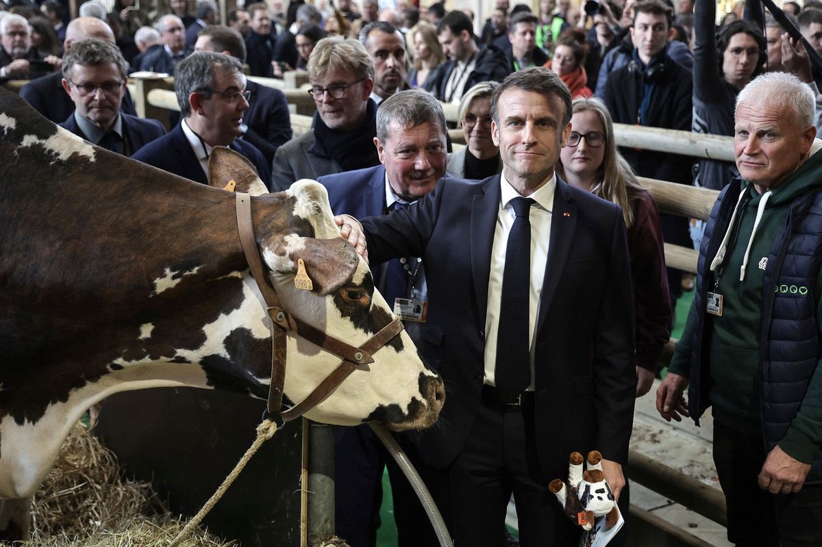 Der gemütlichere Teil seines Programms an der Agrarmesse: Emmanuel Macron beim Kuhtätscheln.