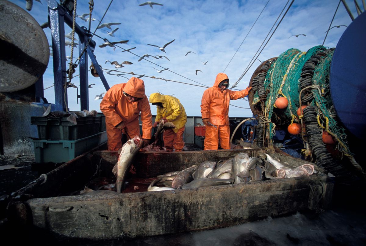 Das Abkommen hätte alle Subventionen eindämmen sollen, die zu Überfischung führen.
